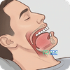 Sleep apnea profile mapping